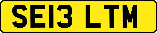 SE13LTM