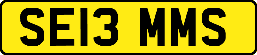 SE13MMS
