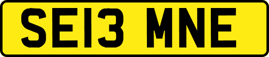 SE13MNE