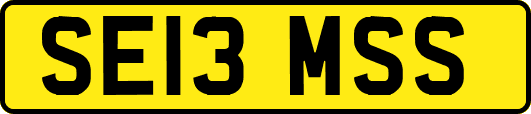 SE13MSS