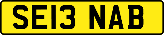 SE13NAB