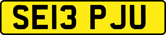 SE13PJU