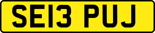 SE13PUJ