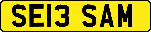 SE13SAM