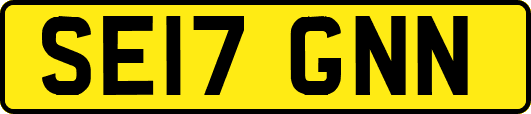 SE17GNN