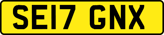 SE17GNX