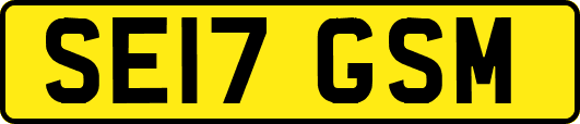 SE17GSM