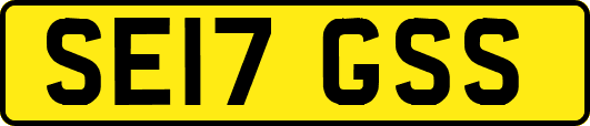 SE17GSS
