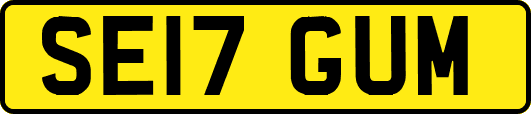 SE17GUM