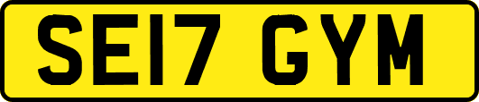 SE17GYM