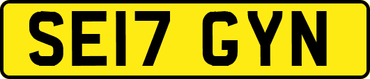 SE17GYN