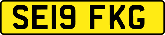 SE19FKG