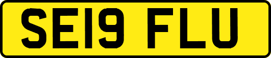 SE19FLU