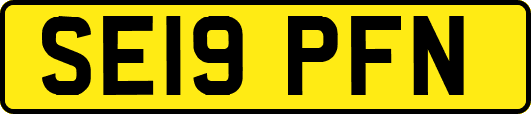 SE19PFN