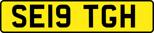 SE19TGH