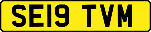 SE19TVM