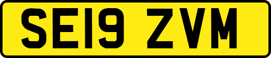 SE19ZVM