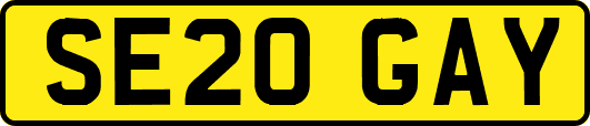 SE20GAY