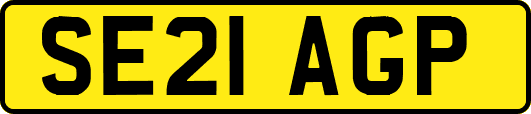 SE21AGP