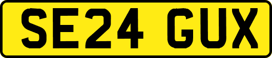 SE24GUX