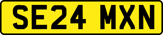SE24MXN