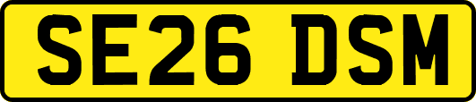 SE26DSM