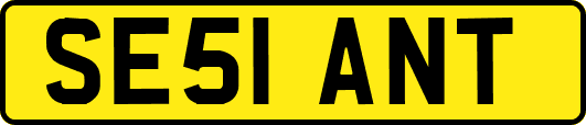 SE51ANT