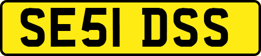 SE51DSS