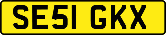 SE51GKX