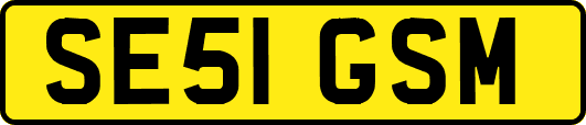 SE51GSM