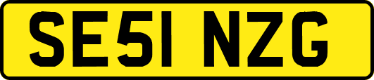 SE51NZG