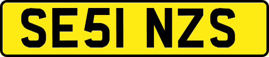 SE51NZS