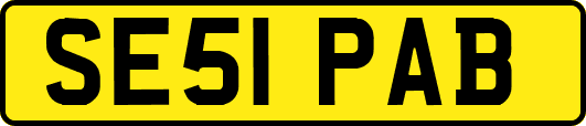 SE51PAB