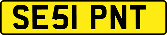 SE51PNT