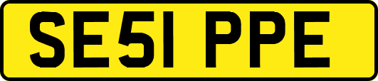 SE51PPE