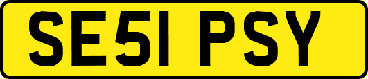 SE51PSY