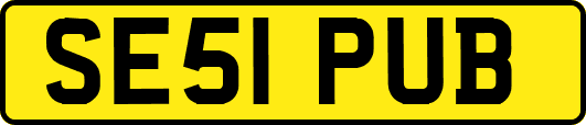 SE51PUB