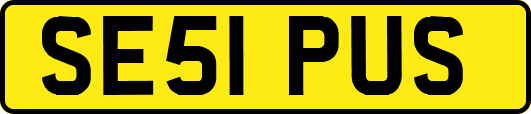SE51PUS