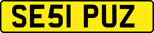 SE51PUZ