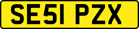 SE51PZX