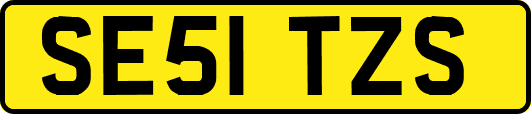 SE51TZS