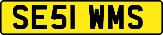 SE51WMS