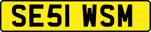 SE51WSM