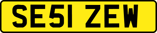 SE51ZEW
