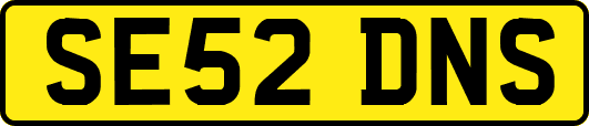 SE52DNS