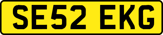 SE52EKG