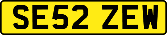 SE52ZEW