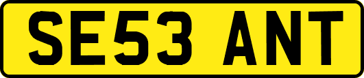 SE53ANT