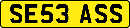 SE53ASS
