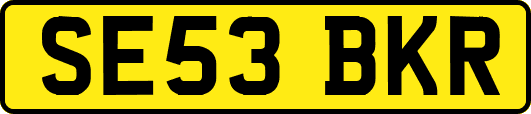 SE53BKR